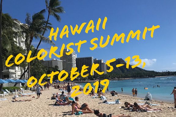 2019-hawaii-colorist-summit