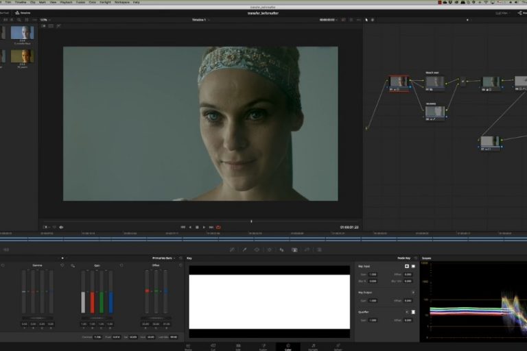 how to use davinci resolve 12.5 for color grading pc